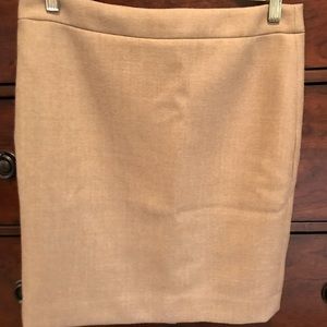 Woman’s J Crew skirt